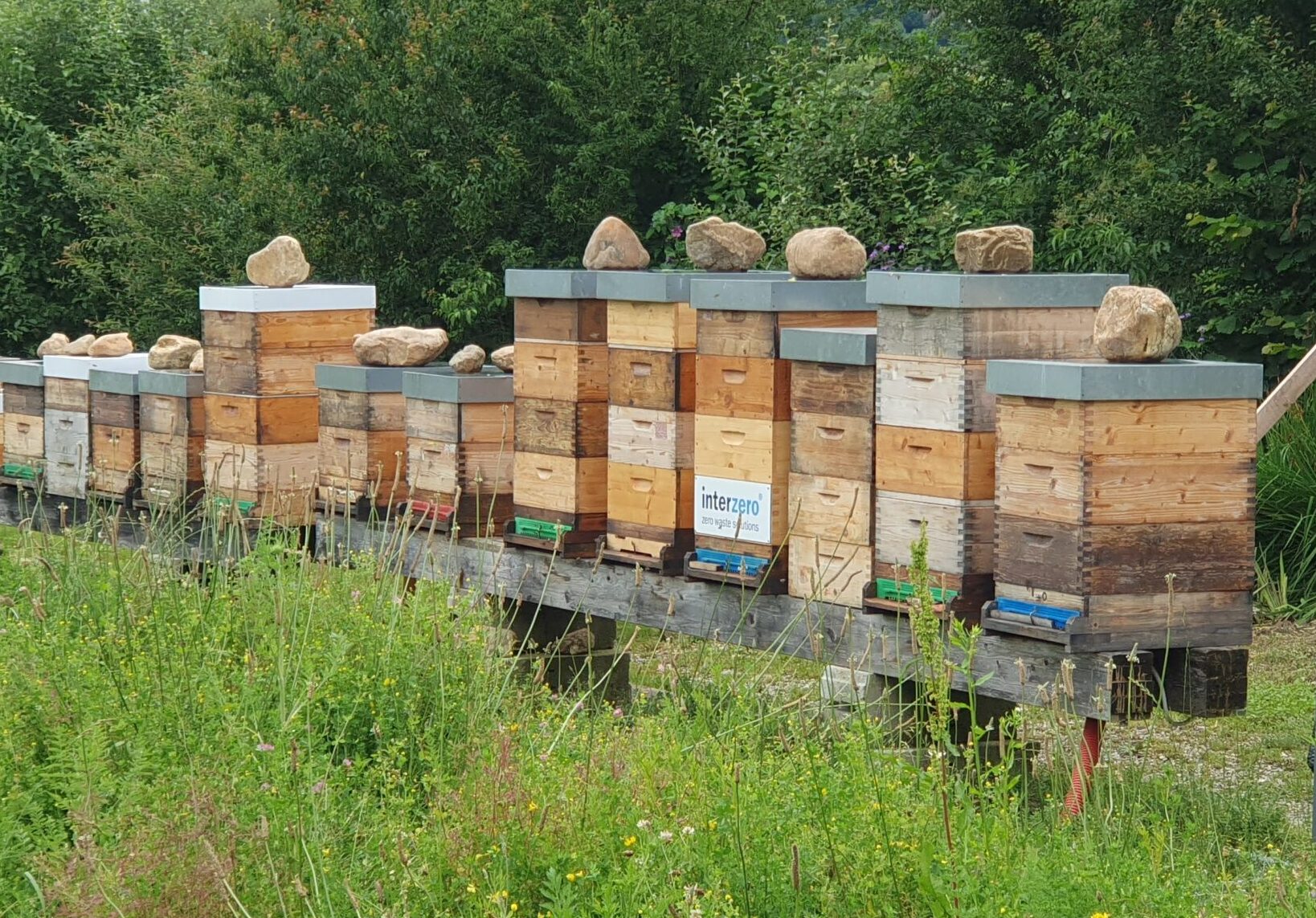 Interzero Bienenstock bei Bienenfink