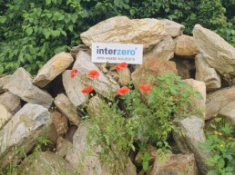 Interzero unterstützt Biodiversität durch Bienenpatenschaft