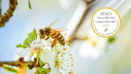 bienenschutz interzero bienenfink