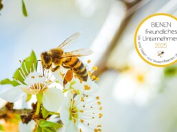 bienenschutz interzero bienenfink