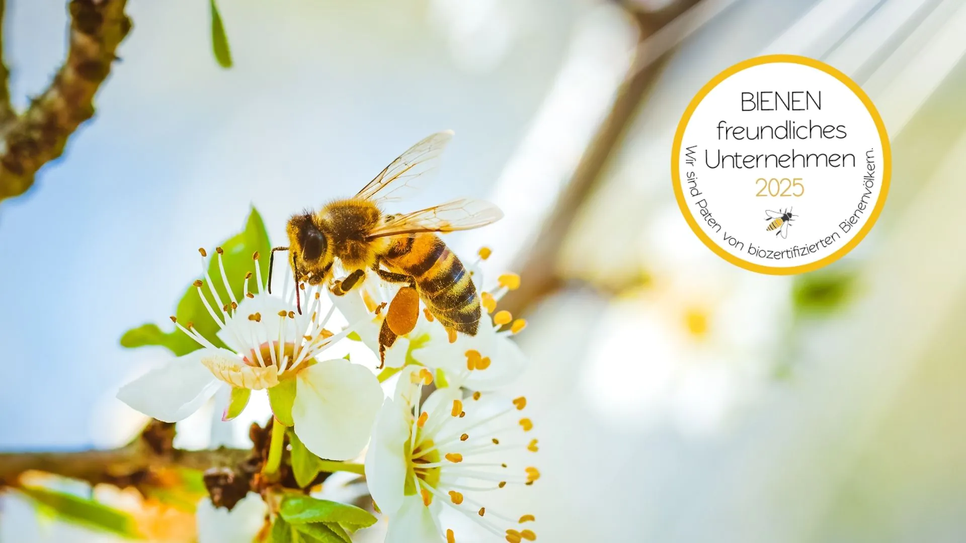bienenschutz interzero bienenfink