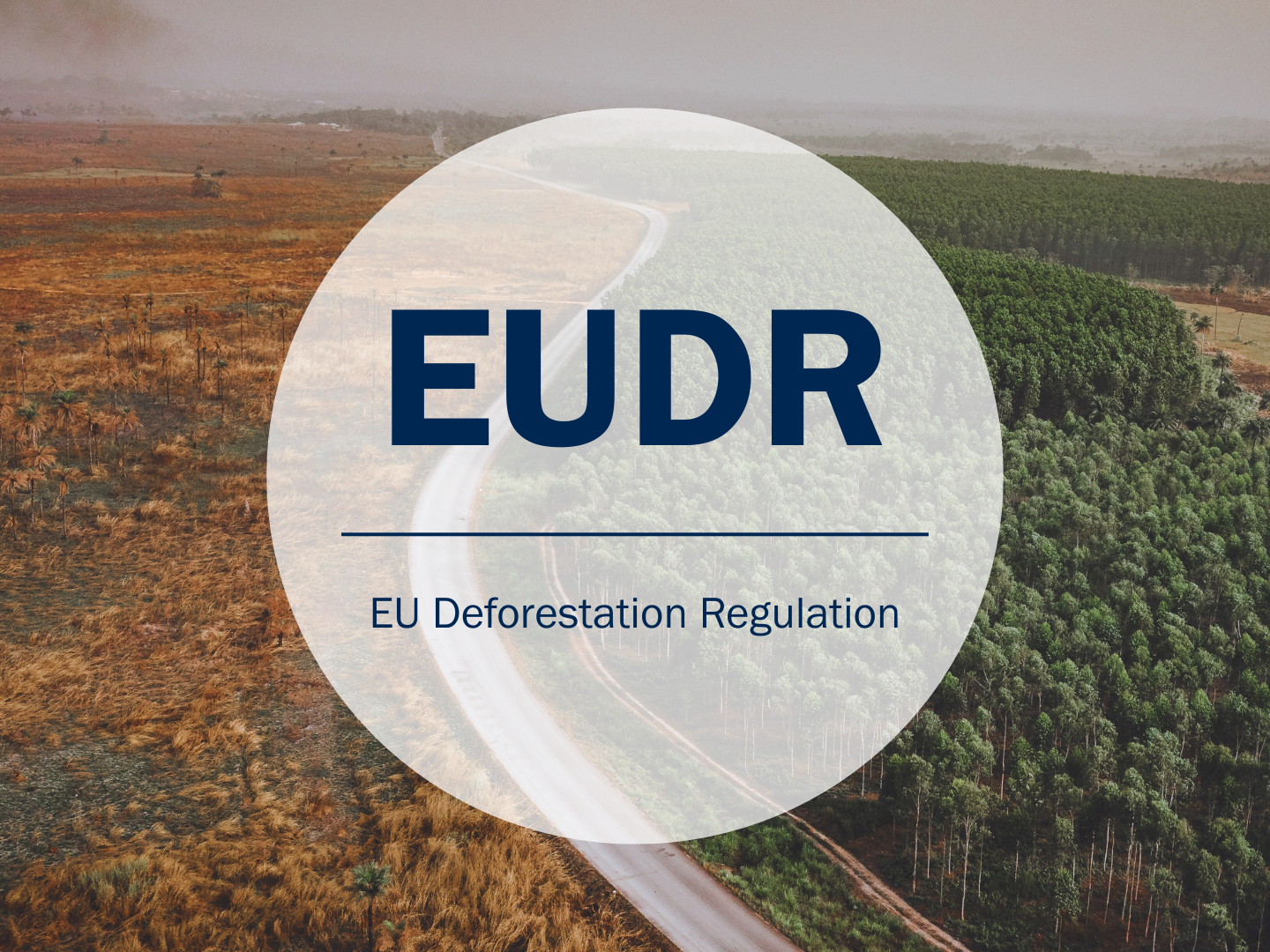 EUDR Deforestration Regulation Entwaldungsverordnung