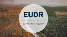 EUDR Entwaldungsverordnung, EU Deforestation Regulation