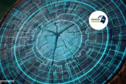 resources SAVED by recycling 2025